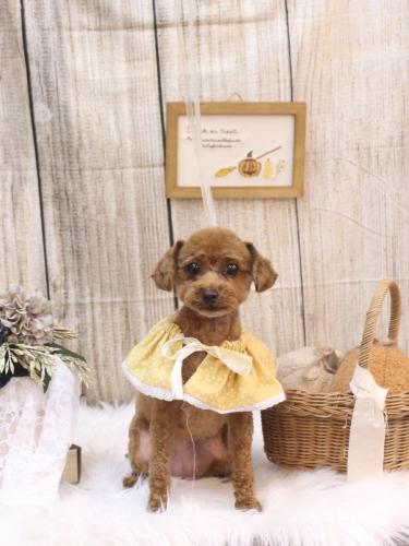 20241029みかんちゃん